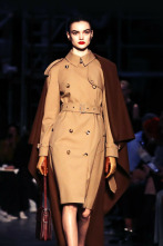 Fashion house (T1): Burberry