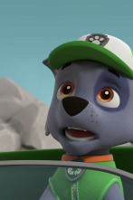 Imagen de La patrulla canina (T10): La patrulla salva a la minipatrulla parlanchina; La patrulla salva la historia de Bahía Aventura - 4