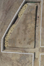 Imagen de The Challenge:... (T40): La era de la purga - 4