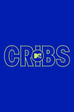 Imagen de MTV Cribs US (T16): T-Pain, Colbie Caillat y Shwayze - 4