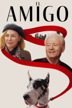 Imagen de El amigo - 4