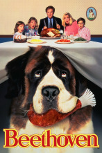 Imagen de Beethoven - 4