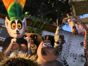 Imagen de Madagascar 2 - 3