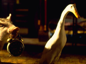 Imagen de Babe: el cerdito valiente - 3