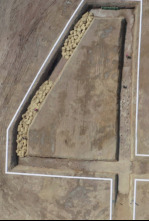 Imagen de The Challenge:... (T40): La era de la purga - 6