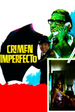 Crimen imperfecto