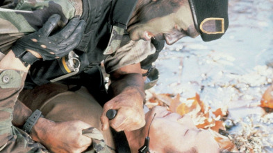 Imagen de Lobo de guerra - 3