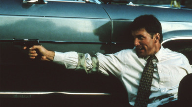 Imagen de Testigo Final - 3