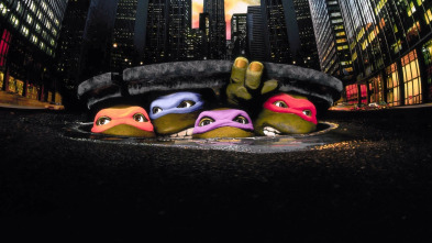 Imagen de Teenage Mutant Ninja Turtles - 3