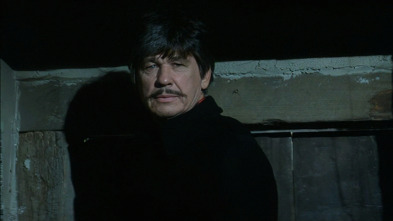 Imagen de Amor y balas - 3