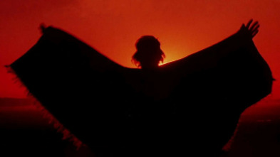 Imagen de Caza criminal - 3