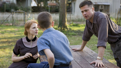 Imagen de El árbol de la vida - 3