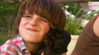 Imagen de Un milagro muy ¡guau! - 3