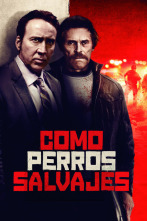 Imagen de Como perros salvajes - 2