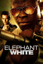 Imagen de Elephant White - 2