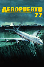 Imagen de Aeropuerto 77 - 2
