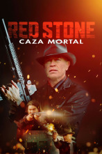 Imagen de Caza al testigo - 2