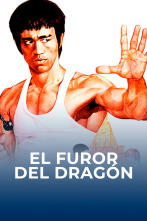 Imagen de El furor del dragón - 1