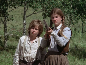 Imagen de Cruzando la gran barrera - 1