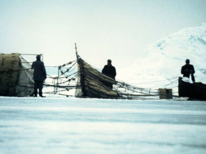 Imagen de El vuelo del águila - 1