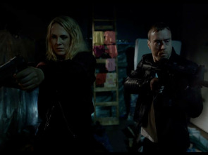 Imagen de American Badger - 1