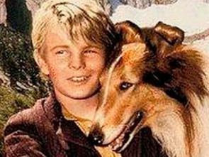 Imagen de Las colinas pintadas - 1