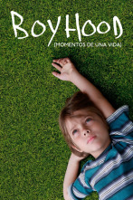 Boyhood. Momentos de una vida