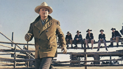 Imagen de Los cowboys - 5