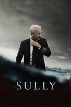 Imagen de Sully - 3