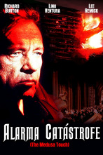 Imagen de Alarma: catástrofe - 4