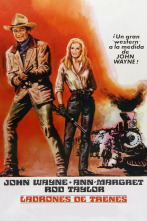 Imagen de Ladrones de trenes - 4