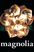 Imagen de Magnolia - 11