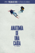 Imagen de Anatomía de una caída - 4