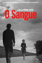 Imagen de La sangre - 4