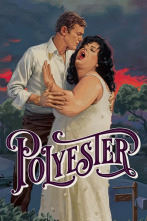 Imagen de Polyester - 2