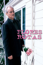 Imagen de Flores rotas - 9