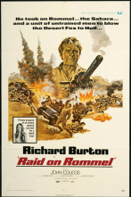 Imagen de Comando en el desierto - 9
