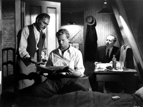 Imagen de La jungla de asfalto - 14