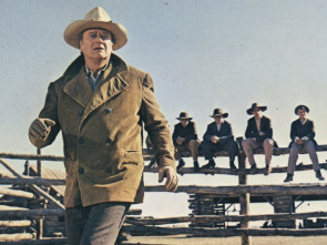 Imagen de Los cowboys - 3