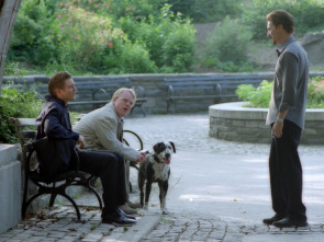 Imagen de La última noche (The 25th hour) - 7