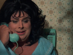 Imagen de Polyester - 1