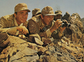 Imagen de Comando en el desierto - 8