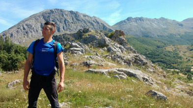 Imagen de 80 cm (T2): Cantabria - 3