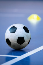Imagen de Primera División de Fútbol Sala - 2