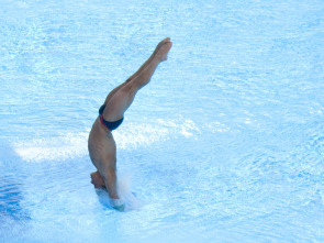 Mundial de salto de gran altura