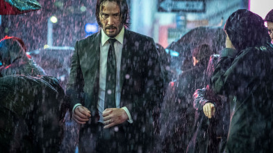 Imagen de John Wick: Capítulo 3 - Parabellum - 3