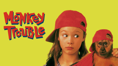 Imagen de Un ladrón de cuatro manos - 3