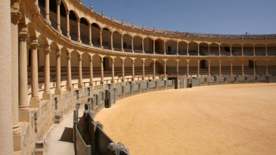 Novillada desde Algete