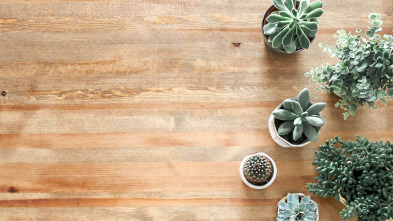 Imagen de Yo vivo en (T1): Una casa cueva - 3