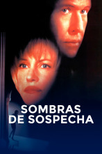 Imagen de Sombras de sospecha - 2